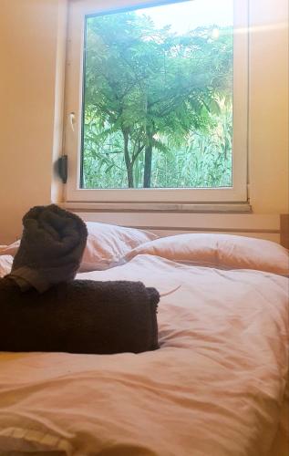 Little Brioni Little Brioni