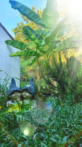 Little Brioni Little Brioni