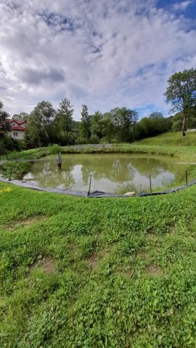 U Eskulapa - image 5