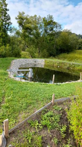 U Eskulapa - image 13