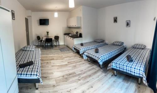 Apartamenty Mazal Dukla