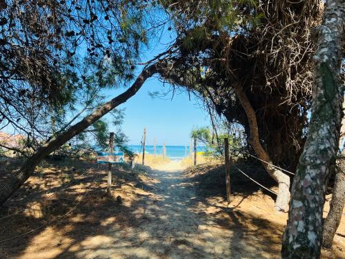 Beach apartments Spiaggia Nascosta