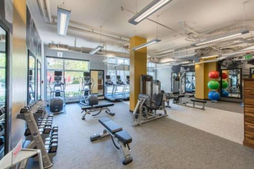 Amazing 2BR Apartment at Crystal City in Arlington, USA