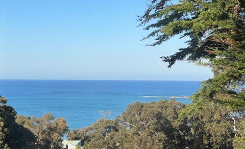 Architect designed 4 bedroom with ocean views from every room, Lorne (zdjęcie 8)