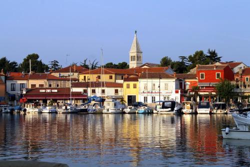 Studio Novigrad 2536a - image 4
