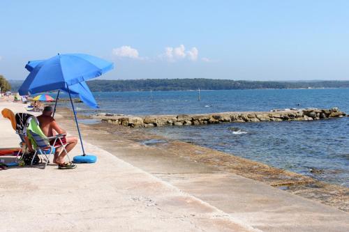 Studio Novigrad 2536b - image 12