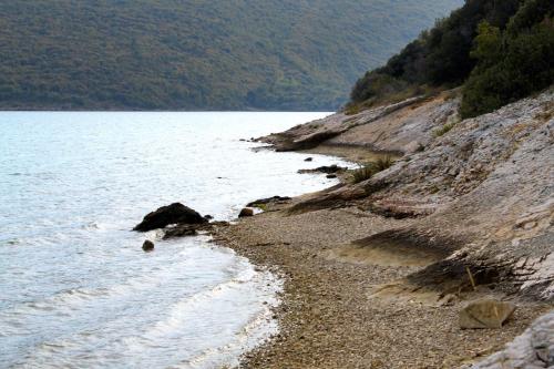 Holiday house with a parking space Celici Central Istria - Sredisnja Istra - 7333 - main image