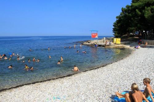 Family friendly apartments with a swimming pool Basanija, Umag - 3402