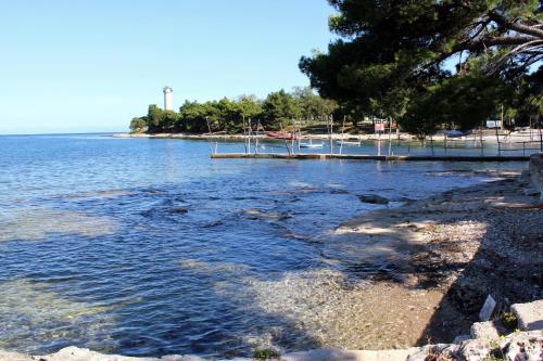 Family friendly apartments with a swimming pool Basanija, Umag - 3402