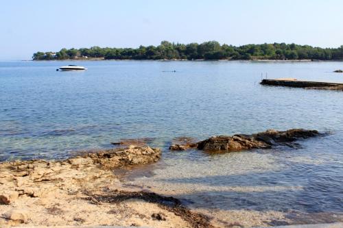 Family friendly apartments with a swimming pool Basanija, Umag - 3402