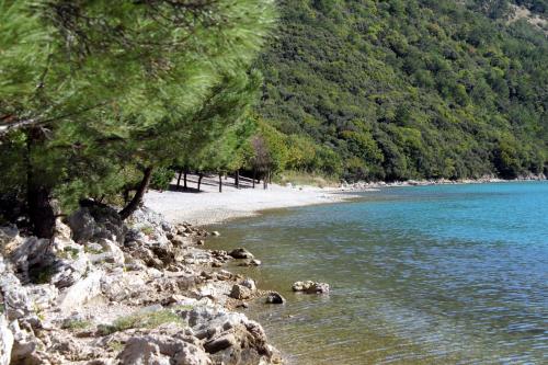 Holiday house with a swimming pool Cepic, Central Istria - Sredisnja Istra - 7404