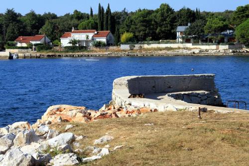 Apartments by the sea Sveti Ivan Umag - 7002 - image 2