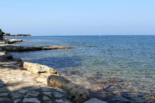 Apartments by the sea Dajla Novigrad - 3371 - image 9
