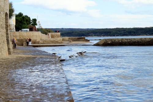 Seaside holiday house Novigrad - 3365 - image 12