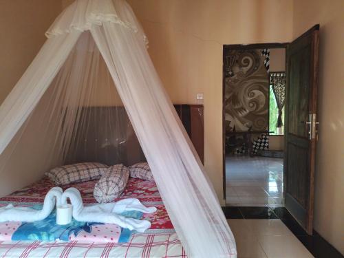 Sumatra Cheeky Monkeys in Bukit Lawang