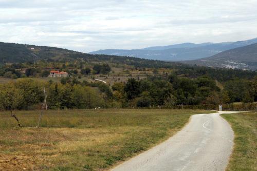 Apartments with a swimming pool Cepic, Central Istria - Sredisnja Istra - 15542