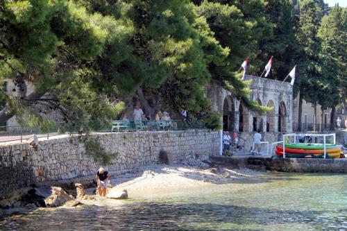  Apartments with a parking space Cavtat, Dubrovnik - 2132 in Cavtat