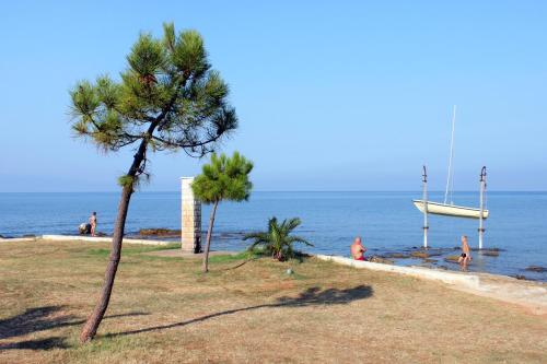  Apartments with a parking space Umag - 16354 in Umag