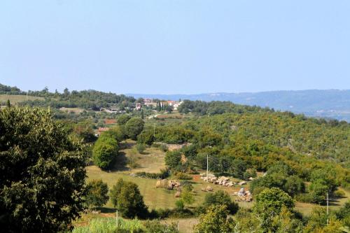 Family friendly house with a swimming pool Rakotule, Central Istria - Sredisnja Istra - 17418