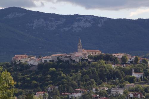 Apartments with a parking space Buzet, Central Istria - Sredisnja Istra - 17333