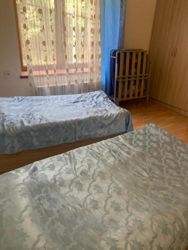 Artyomi Toon in Dilijan