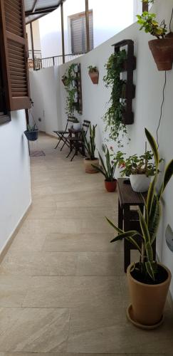 Kalopanayiotis Museum Inn in Kalopanajiotis