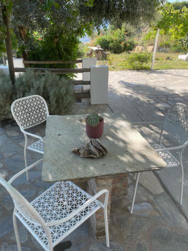 Studios Andromache, Skopelos (fotografie 2)