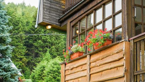 Exterior view, CHATA U VINCENTA s finskou saunou a altankom in Teplicka