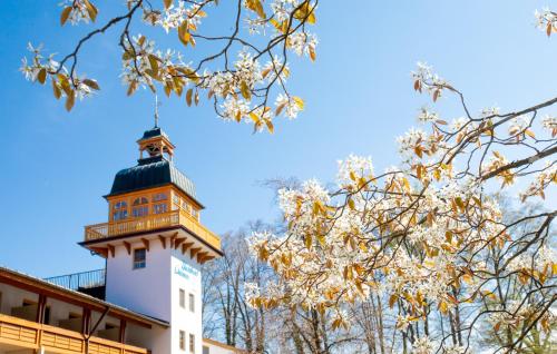 Yachthotel Chiemsee GmbH - image 3