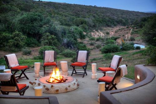 Safari Lodge - Amakhala Game Reserve