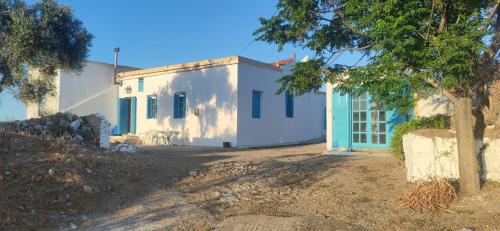 Αρχοντικό ΑΤΤΙΚ - ATTIK MANSION, Livadi (foto 2)