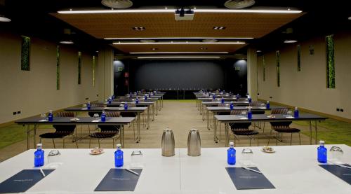 Aravaca Village Hotel - image 6