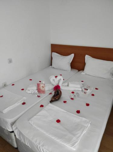 Dreams Family Hotel - image 9