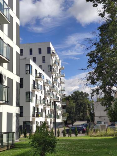 Brand New and Modern 1BDR Apartment Brand New and Modern 1BDR Apartment