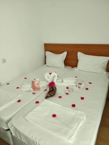 Dreams Family Hotel - image 12