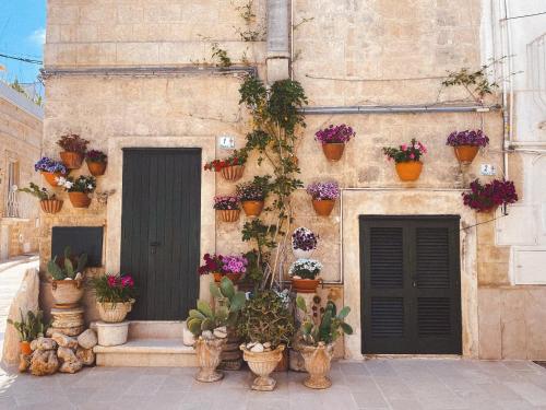 La Casa del Lampione - Apartment - Monopoli