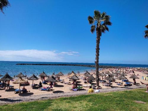 First line, upscale apartment Los Cristianos! 11thFloor Views, Arona (photo 3)