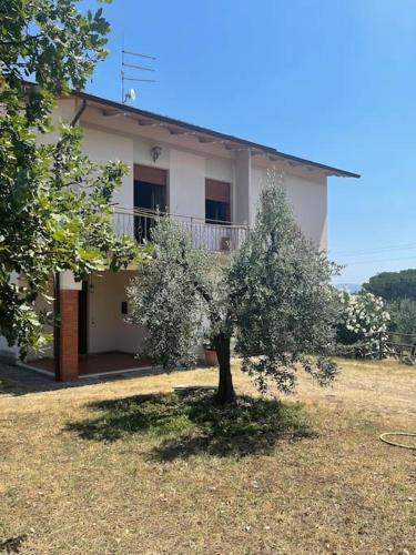  NONNO GHIGO HOUSE in Ciggiano