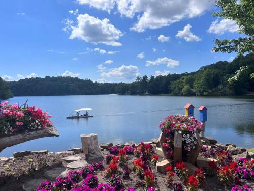 Centrally Located Resort in The High Country RELAX in Newland, USA