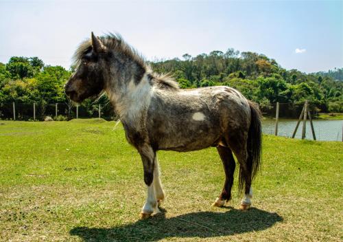 Hotel Fazenda Hípica Atibaia