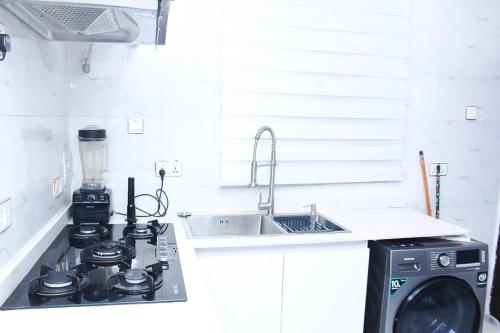 New Luxury 3 bedroom Duplex with private gym and close to Ikeja Airport in Ifako-Ijaiye