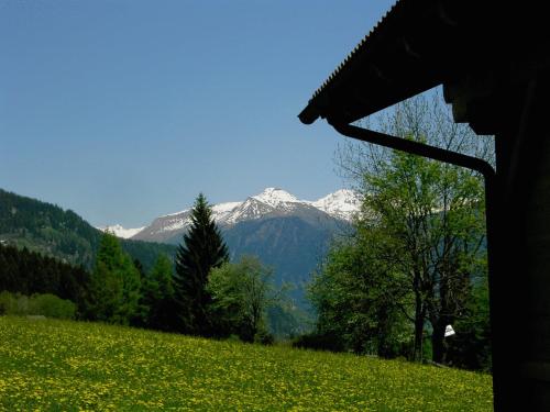 Ferienwohnung Suntinger - Apartment - Iselsberg