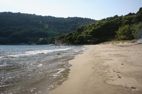 Tuvākā izklaides vieta, Apartments by the sea Cove Blaca, Mljet - 4899 in Saplunara