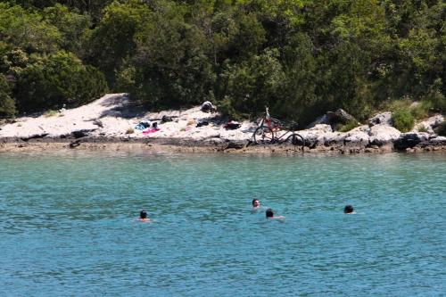 Apartments by the sea Babine Kuce, Mljet - 611