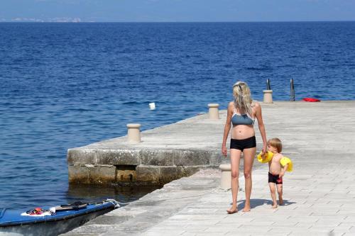 Apartments by the sea Zaklopatica Lastovo - 8340 - main image
