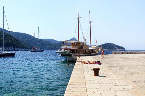 Seaside holiday house Lucica Lastovo - 8348 - image 3