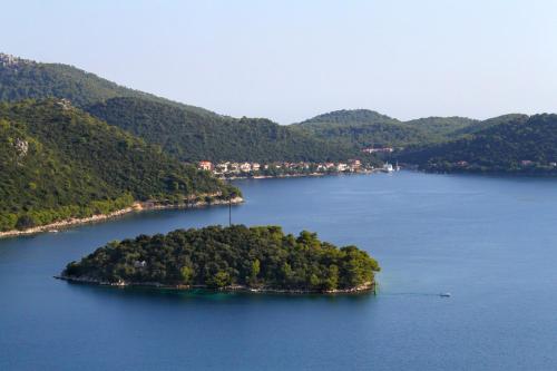 Apartments by the sea Ubli, Lastovo - 8354