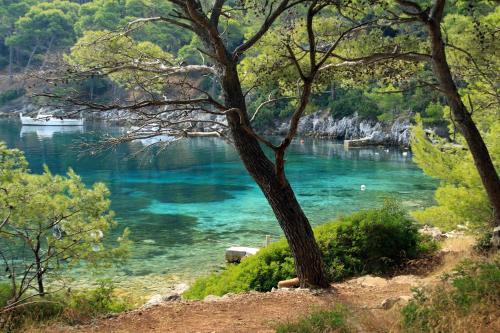 Apartments by the sea Ubli, Lastovo - 8354