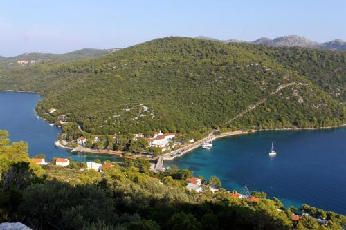 Apartments by the sea Pasadur Lastovo - 8388 - image 6
