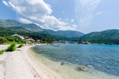 Apartments by the sea Slano Dubrovnik - 8538 - image 2